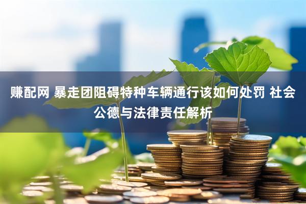 赚配网 暴走团阻碍特种车辆通行该如何处罚 社会公德与法律责任解析