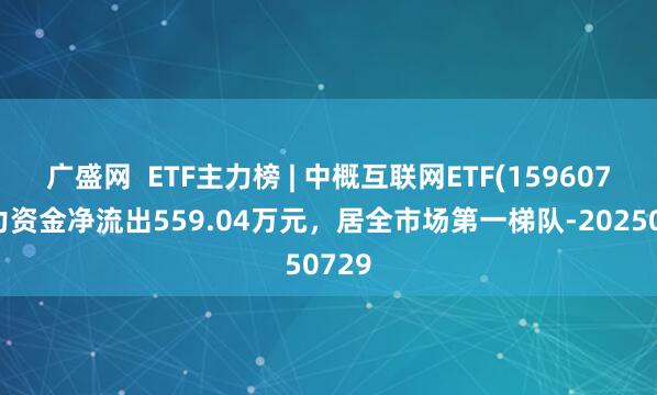 广盛网  ETF主力榜 | 中概互联网ETF(159607)主力资金净流出559.04万元，居全市场第一梯队-20250729